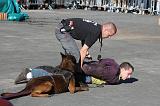 ARRESTATION POLICE 017